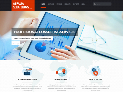 tormsolutions.com snapshot