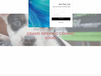 cozyco.weebly.com snapshot