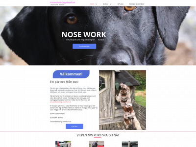 nosework.info snapshot