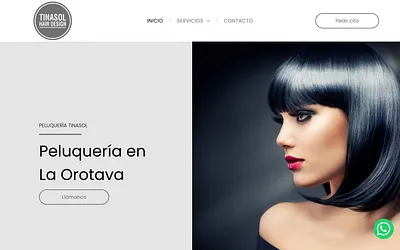 tinasolhairdesign.com snapshot