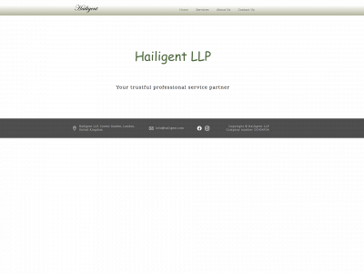 hailigent.com snapshot