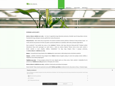 roleksa.lt snapshot