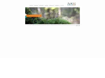 vigris.lt snapshot