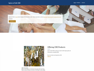 www.cbdhsol.com snapshot