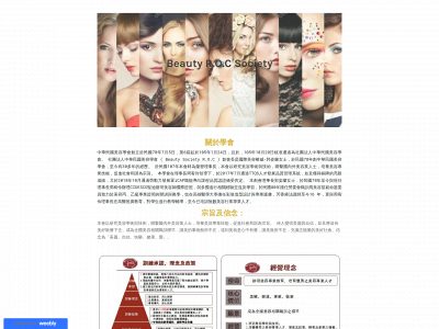 bsroc.weebly.com snapshot