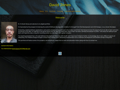 davidjones.digital snapshot