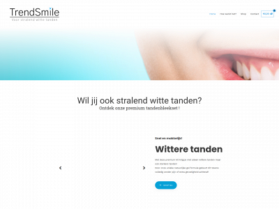 trendsmile.nl snapshot