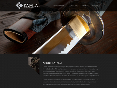 katanaglobalsolutions.com snapshot