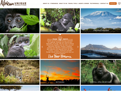 africanuniquesafaris.com snapshot