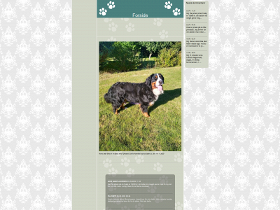 skaksens-bernersennenhunde.dk snapshot