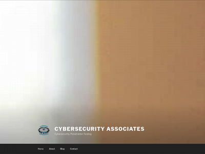 cybersecassociates.com snapshot