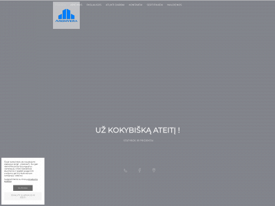aronvera.lt snapshot
