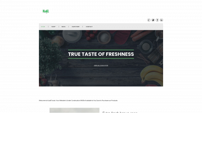 kudilfoods.com snapshot