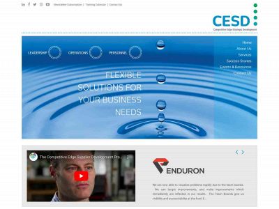 cesdservices.ca snapshot