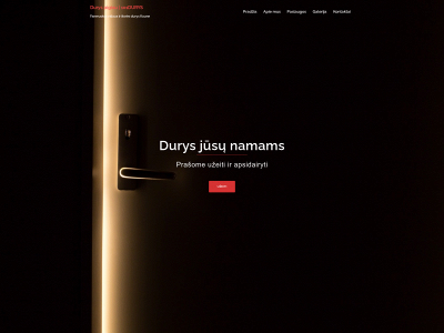 durys101.lt snapshot