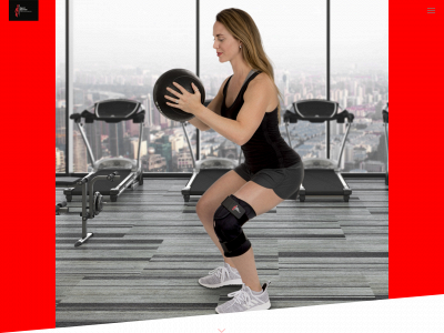 sportsspartanperformance.com snapshot