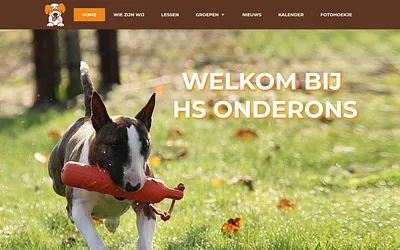 hsonderons.be snapshot