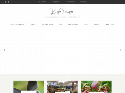 kristenmartyn.com snapshot