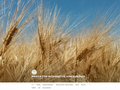 kinesiologie-birrer.ch snapshot