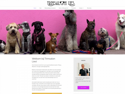 trimsalonlies.nl snapshot