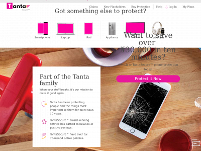 tanta.com.ng snapshot