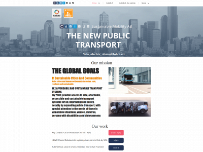 cabibus.com snapshot