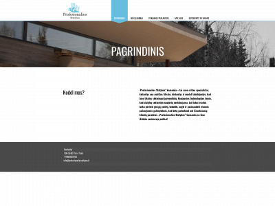 profesionaliosstatybos.lt snapshot