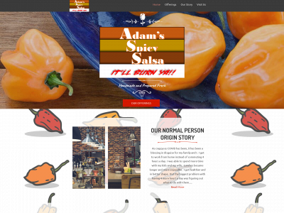 adamsspicysalsa.com snapshot
