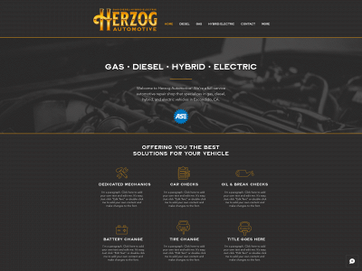 herzogauto.com snapshot
