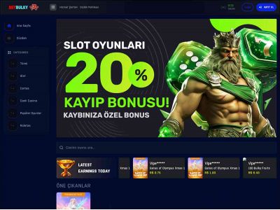 betbulky1.com snapshot