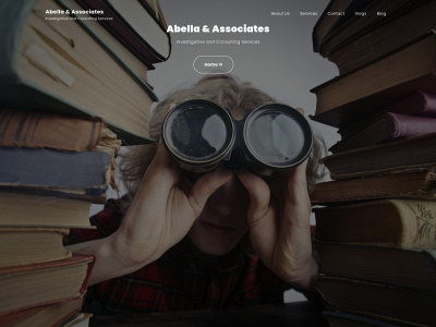 abellaandassociates.biz snapshot