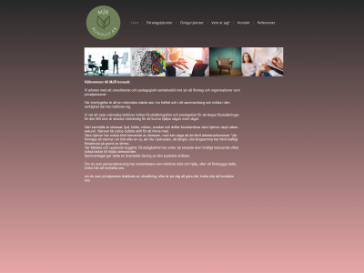 mjrkonsult.se snapshot