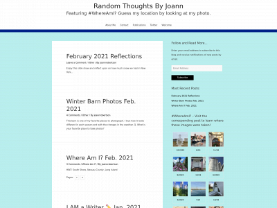 randomthoughtsbyjoann.com snapshot