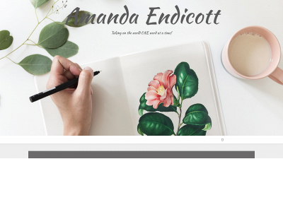 amandaendicott.com snapshot