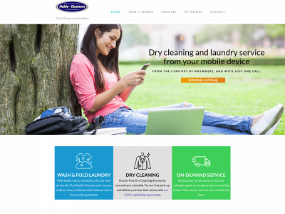 noblecleanerscompany.com snapshot