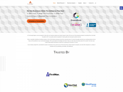 theanalystagency.com snapshot