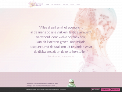acupunctuurhillegom.nl snapshot