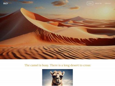 camelyou.weebly.com snapshot