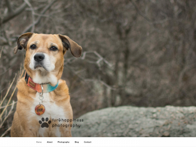 furandhappiness.com snapshot