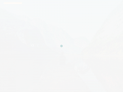 loveconquersallthings.com snapshot