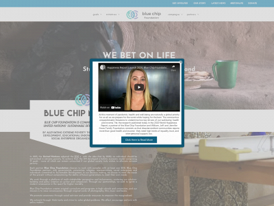 www.bluechipfoundation.org snapshot