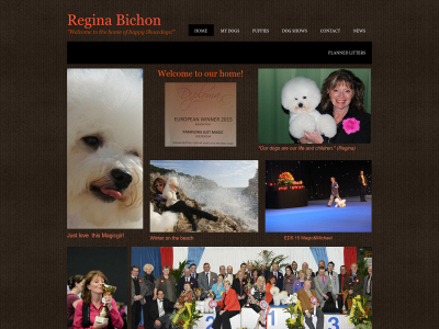 reginabichon.com snapshot