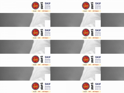 skifb.be snapshot