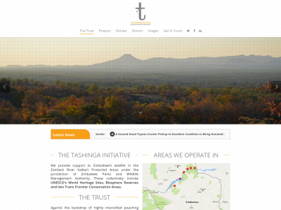 thetashingainitiative.org snapshot