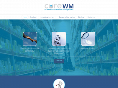 sap-ewm.guru snapshot