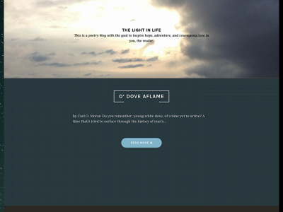 the-light-in-life.com snapshot