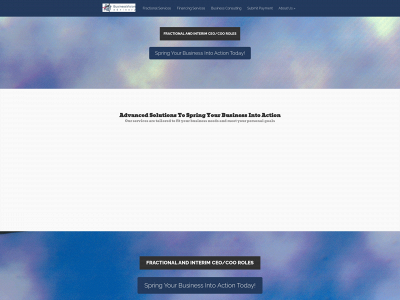 businessvisionadvisory.com snapshot