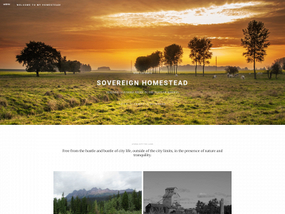 mikelorussohomestead.ca snapshot