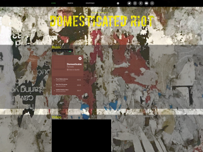 domesticatedriot.com snapshot