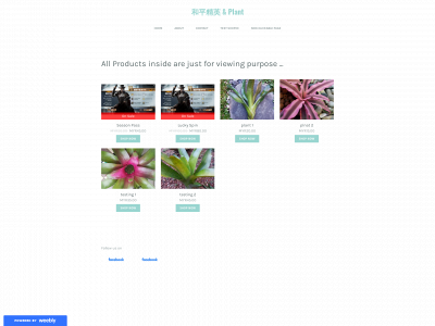 123randomtest.weebly.com snapshot